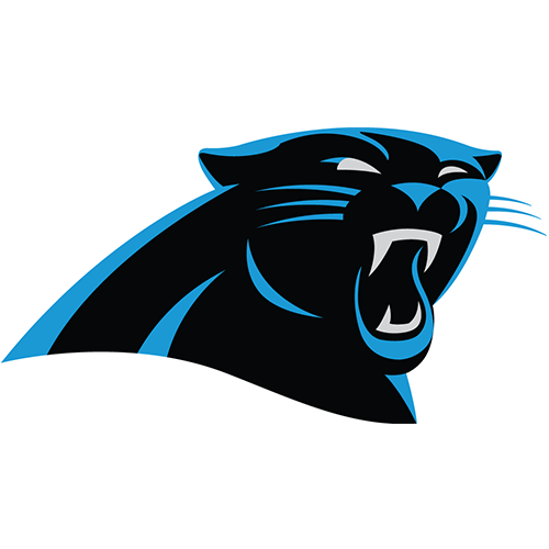 Carolina Panthers iron ons